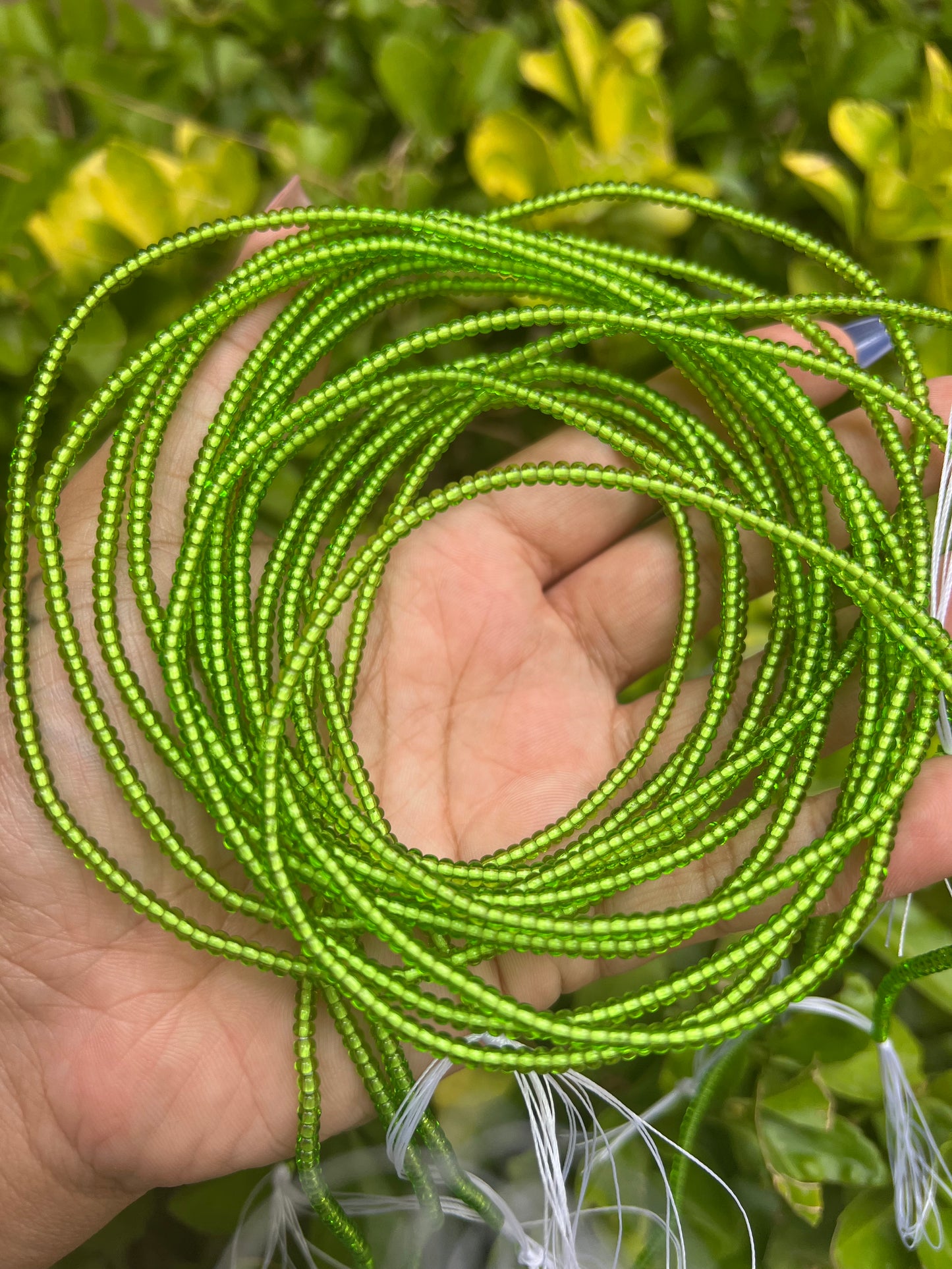 Lime