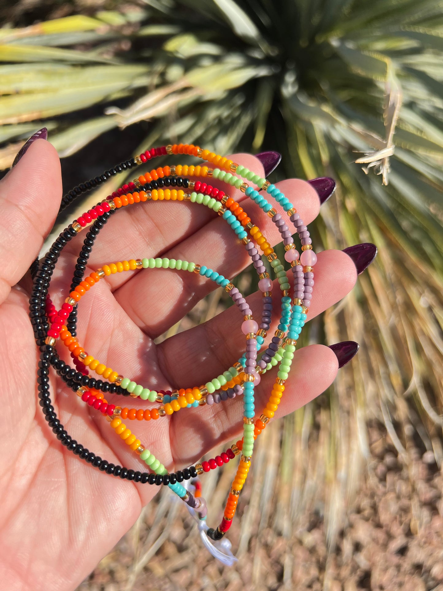 Rainbow dreams